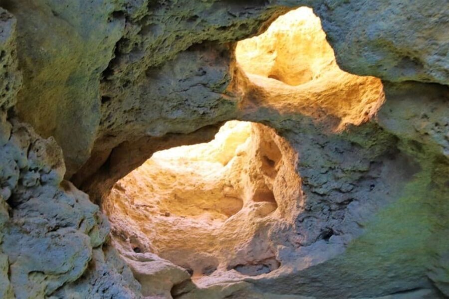 From Vilamoura: 2.5-Hour Benagil Cave and Dolphins Boat Tour - Dolphins: what you can realistically hope for