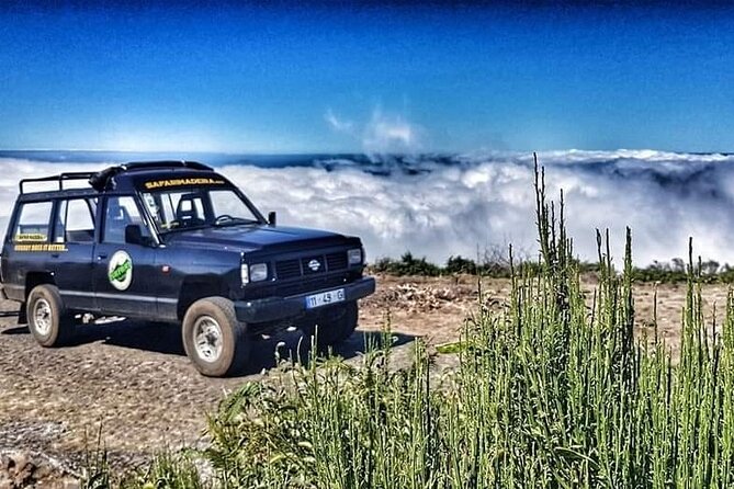 Full Day Jeep Safari East - Pico do Areeiro - Santana - Ponta de são Lourenço - What This Funchal Jeep Safari East Really Feels Like
