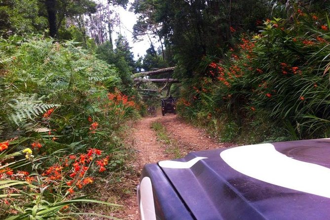 Full-Day Jeep Safari West: Fanal, Porto Moniz, Seixal, Cabo Girão - Bay of Câmara de Lobos: The Fishing-Boat Postcard Stop