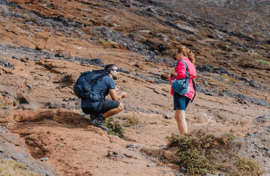 Full Day Ponta de São Lourenço - Natural Reserve - What to wear and bring when the peninsula gets windy