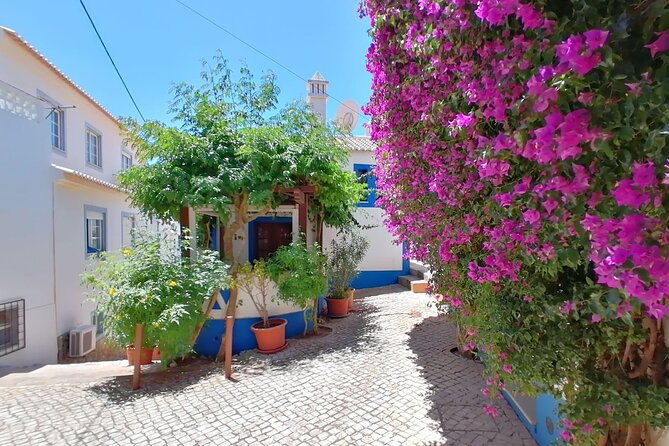 Full Day Private Tour in Western Algarve - The overall vibe: Salema, Lagos, Sagres, all in one day