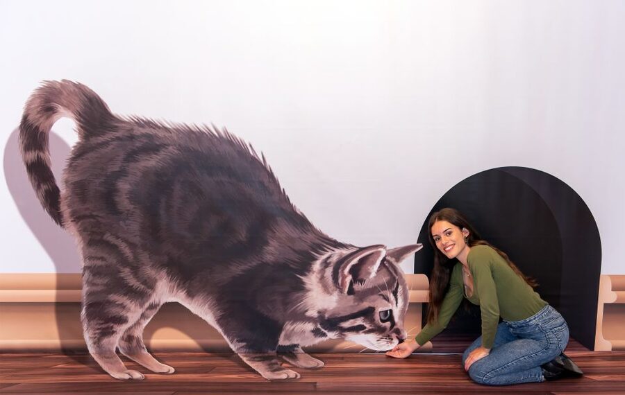 Funchal: 3D Fun Art Museum - Who Should Book This Museum in Funchal?