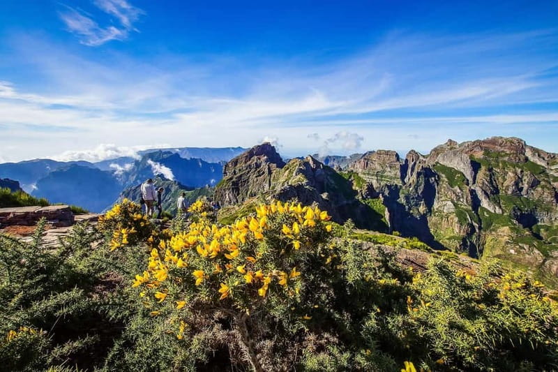 Funchal: 4x4 Jeep Trip to the East and Northeast of Madeira - Key Highlights You Should Actually Care About