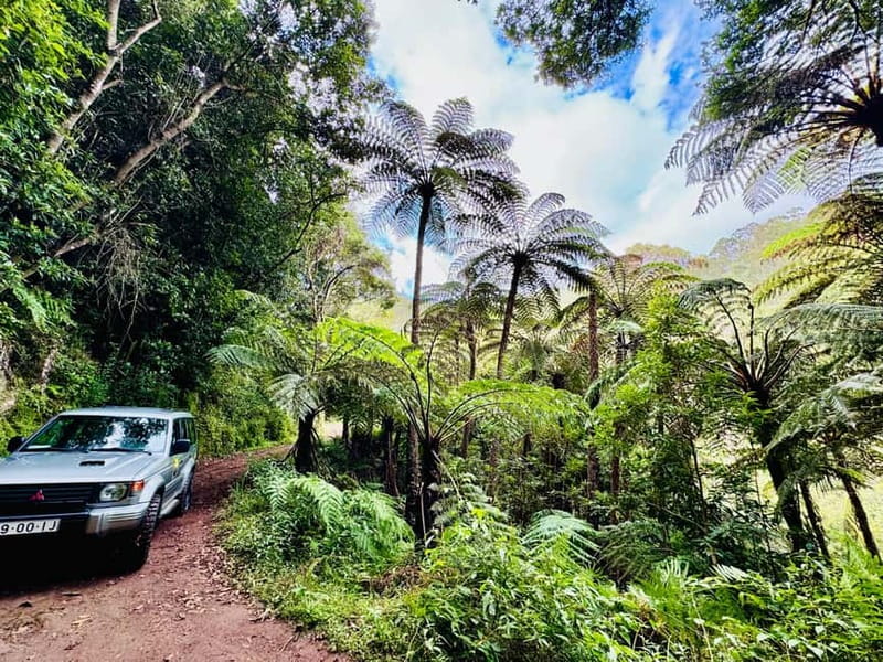 Funchal: 4x4 Jeep Trip to the East and Northeast of Madeira - Why a 4x4 Jeep Day Trips Like This Feels Different in Madeira