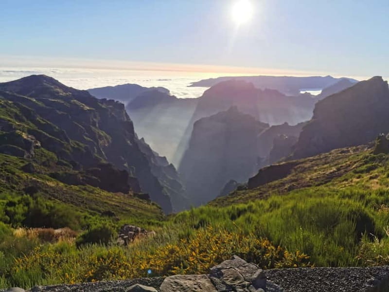 Funchal: 4x4 Jeep Trip to the East and Northeast of Madeira - Ribeiro Frio and the Levada Walk: Nature Time That Actually Feels Like Madeira