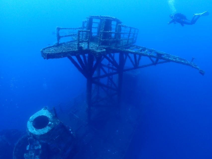 Funchal: Advanced Scuba Diving Afonso Cerqueira Wreck - Marine life on a protected reef: what “artificial reef” really means