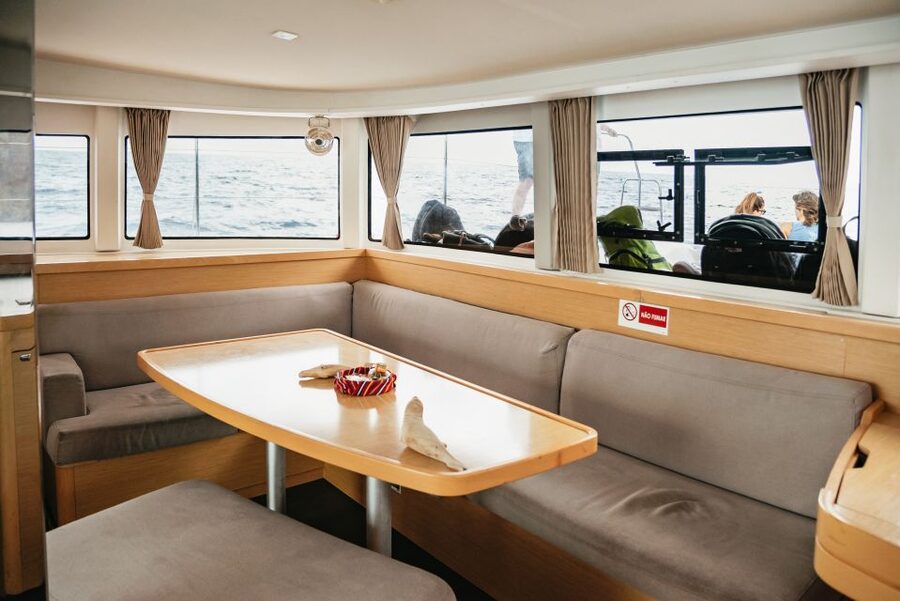 Funchal Bay: Dolphin & Whale Watch Luxury Catamaran Cruise - Seasickness, weather, and how to have a better trip anyway
