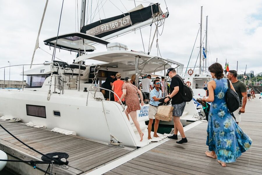 Funchal Bay: Dolphin & Whale Watch Luxury Catamaran Cruise - Dolphin and whale watch in Funchal Bay: what you should look for