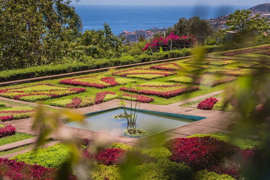 Funchal: Botanical Garden and Old Town Private Tuk-Tuk Tour - Key highlights worth the effort