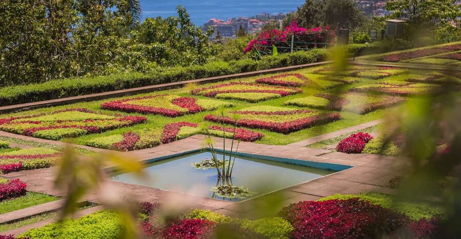 Funchal: Botanical Garden and Old Town Private Tuk-Tuk Tour - Bom Sucesso: Madeira Botanical Garden and the natural history museum