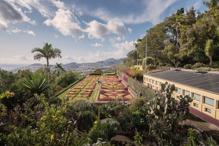Funchal: Botanical Garden and Old Town Private Tuk-Tuk Tour - Should you book this Funchal tuk-tuk plus Botanical Garden tour?
