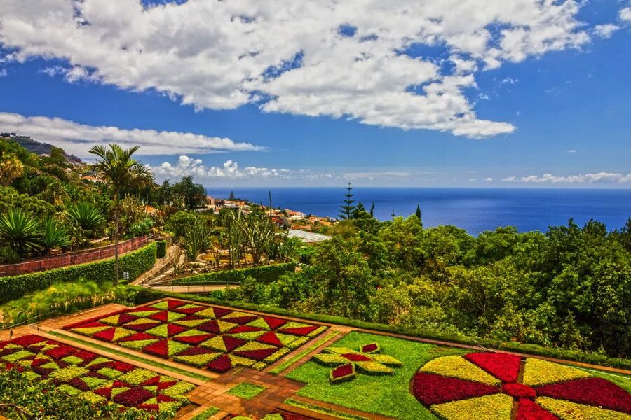Funchal: Botanical Garden and Old Town Private Tuk-Tuk Tour - The exclusive tuk-tuk ride that cars miss