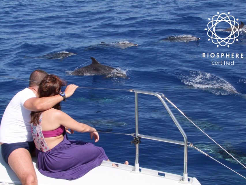 Funchal: Cabo Girão, Wines Tasting and Dolphins Watching - One day, two operators, and three big moments