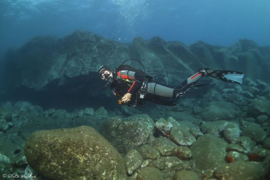 Funchal: Certified Scuba Diving, Guided Tour - Funchal’s Marine Protected Water Is a Great Playground for Certified Scuba