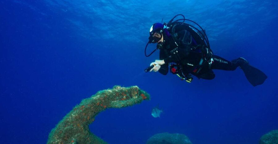 Funchal: Certified Scuba Diving, Guided Tour - Gear-Up, Changing Room, and Hot Shower: The “End-of-Day” Detail You’ll Thank Yourself For