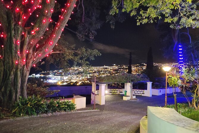 Funchal: Christmas Lights Sightseeing Night Tour - Price and value: is $41 per person a smart deal?