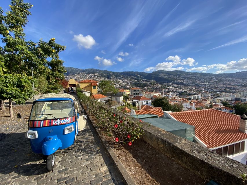 Funchal: City Highlights Tuk-Tuk Tour - Pico dos Barcelos lookout: the fastest way to get your bearings
