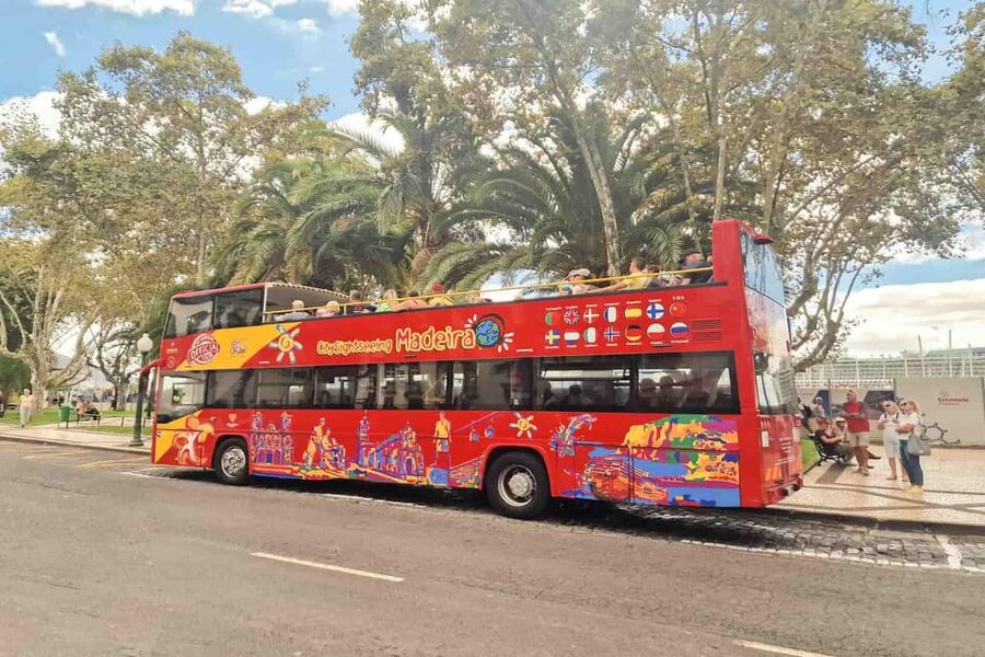 Funchal: City Sightseeing Hop-On Hop-Off Bus Tour - Who should book this bus tour