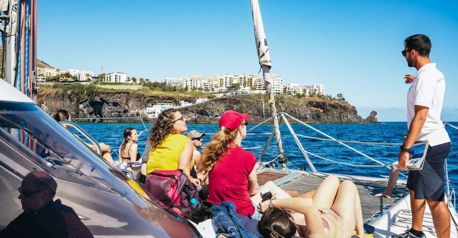 Funchal: Dolphin and Whale Watching by Luxury Catamaran - Key things I’d circle before you go