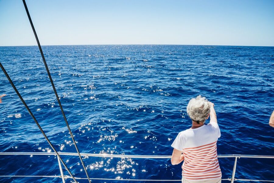 Funchal: Dolphin and Whale Watching by Luxury Catamaran - Pier 8 check-in, and how not to lose time
