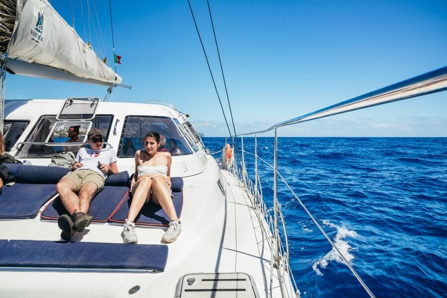 Funchal: Dolphin and Whale Watching by Luxury Catamaran - The relaxed return sail along Madeira’s coastline