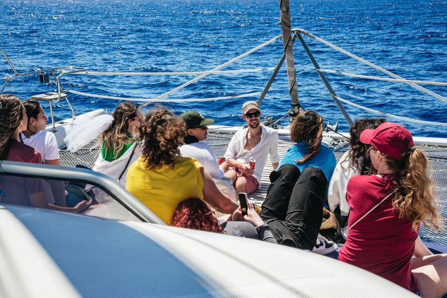 Funchal: Dolphin and Whale Watching by Luxury Catamaran - Price and value: what you really get for about $47