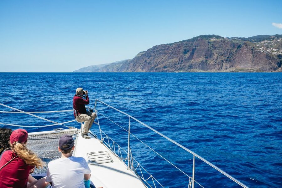 Funchal: Dolphin and Whale Watching by Luxury Catamaran - Who should book, and who should skip this day at sea