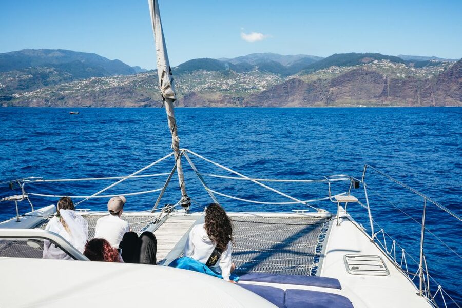 Funchal: Dolphin and Whale Watching by Luxury Catamaran - My booking verdict: should you go on this Madeira catamaran?