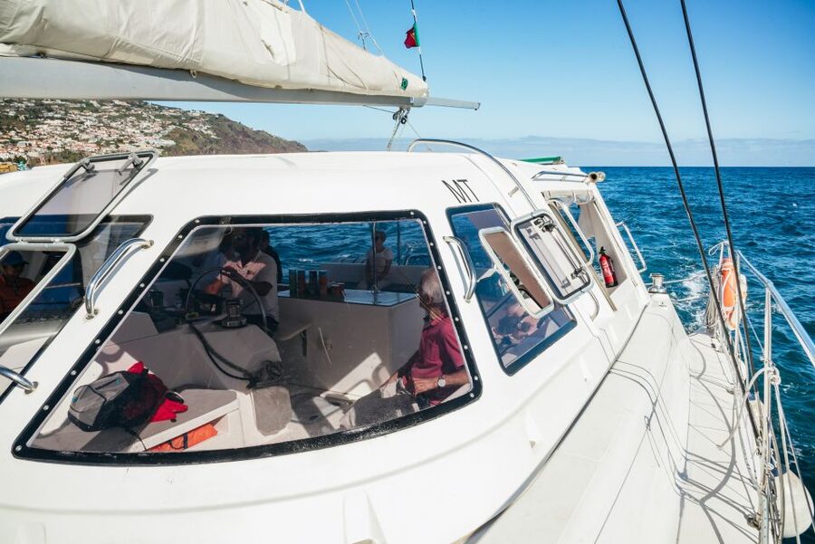 Funchal: Dolphin and Whale Watching by Luxury Catamaran - Luxury catamaran comfort, shade choices, and onboard basics