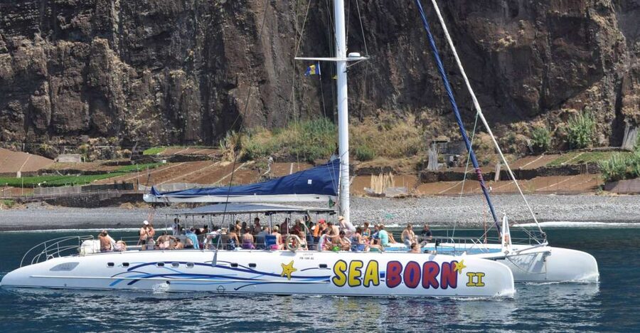 Funchal: Dolphin and Whale Watching Catamaran Cruise - Who should book this cruise, and who should skip it
