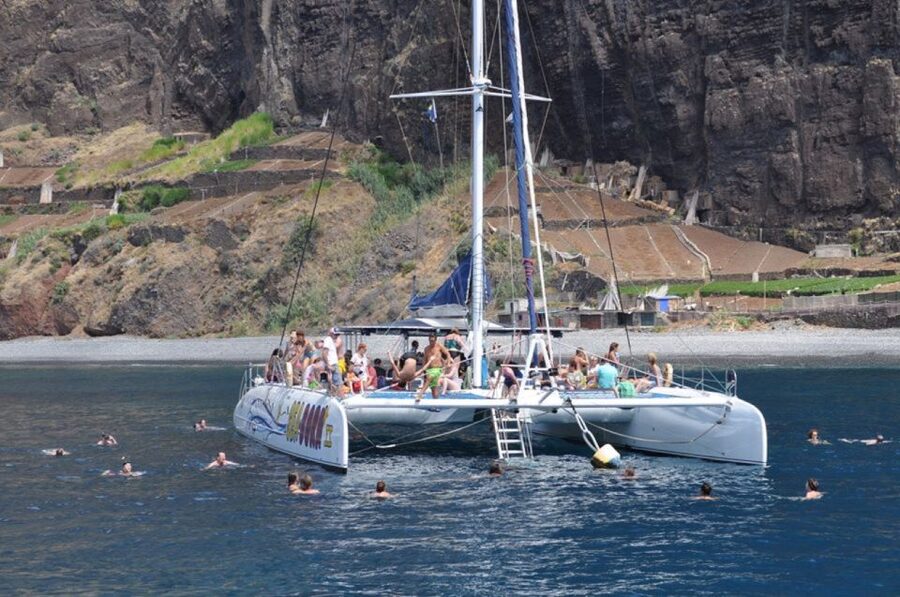 Funchal: Dolphin and Whale Watching Catamaran Cruise - How the crew manages responsible dolphin and whale watching