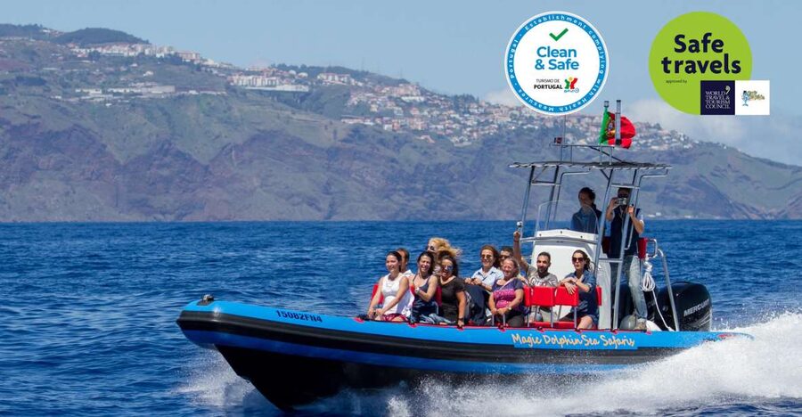 Funchal: Dolphin and Whale Watching Cruise - Key Things That Make This Cruise Worth Your Time