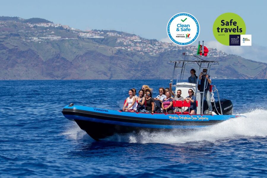 Funchal: Dolphin and Whale Watching Cruise - Meeting Magic Dolphin and Getting Off the Dock On Time