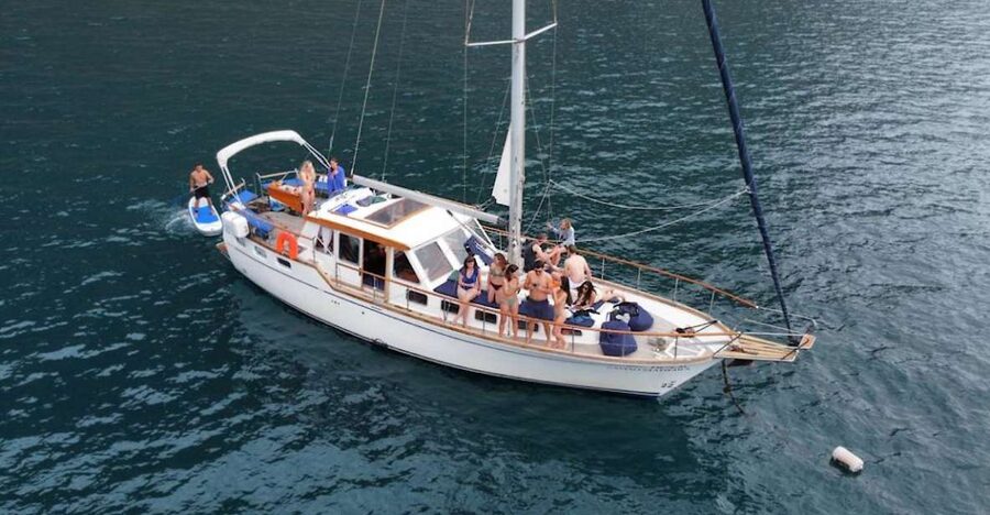 Funchal: Dolphin and Whale Watching Sailing Trip - Key things to know before you go
