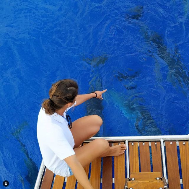 Funchal: Dolphin and Whale Watching Sailing Trip - Wildlife watching off Funchal, near Cabo Girão and up to 3 miles offshore
