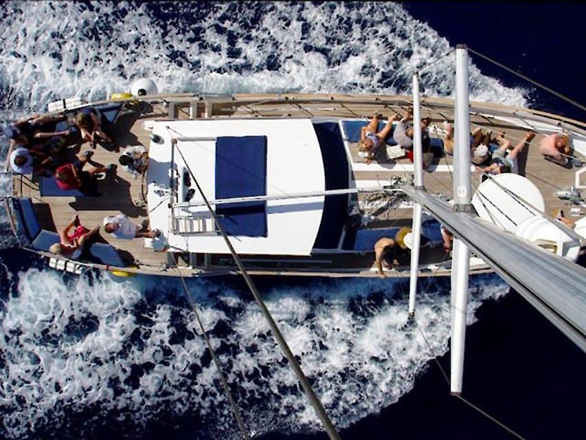 Funchal: Dolphin and Whale Watching Sailing Trip - What it costs, and why it feels like good value on Madeira