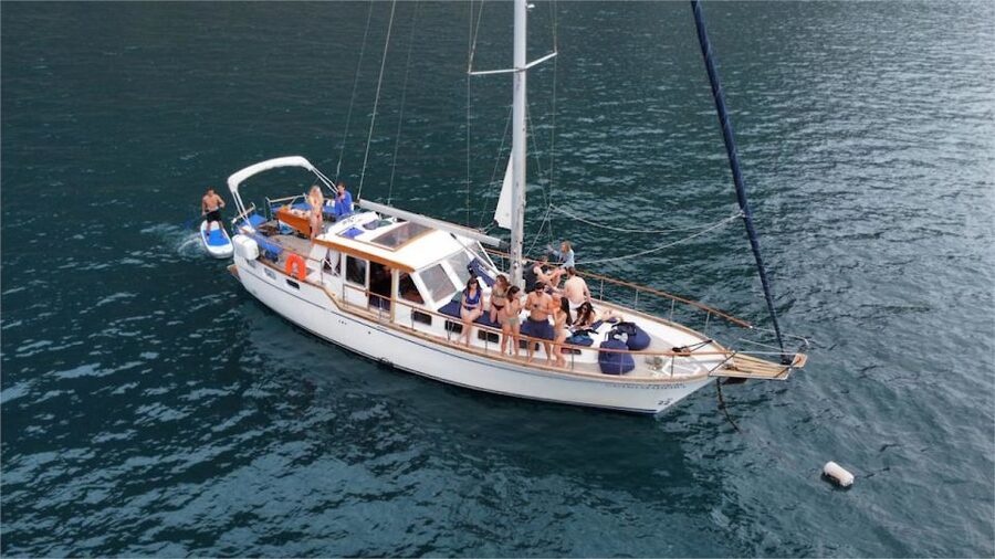 Funchal: Dolphin and Whale Watching Sailing Trip - Where to meet in Funchal, and how to get ready for boat rules