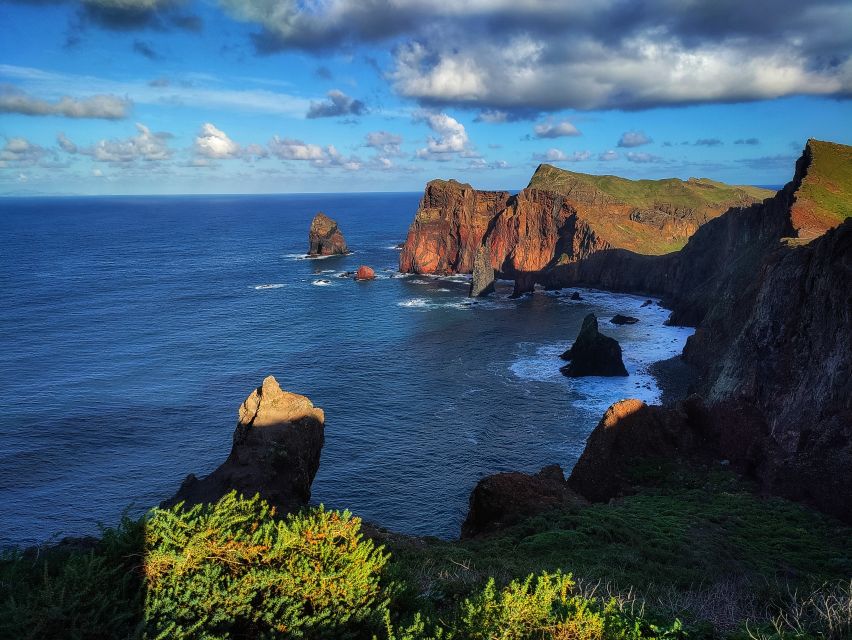 Funchal: East Madeira Island Guided Tour & Laurissilva Walk - Guides, pacing, and comfort on a 7 hour day
