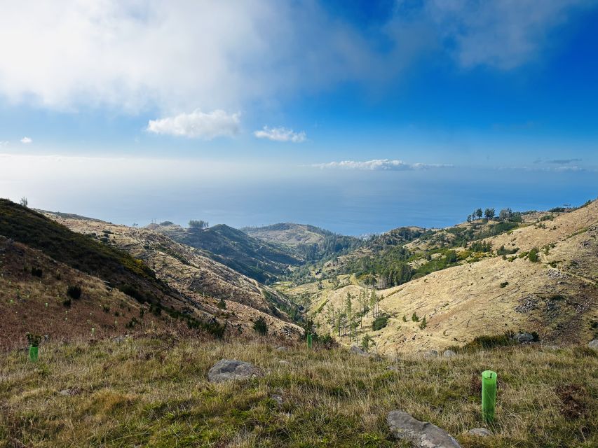 Funchal: East Madeira Island Guided Tour & Laurissilva Walk - Porto da Cruz and North Mills: Madeira rum with a free taste