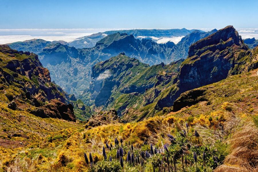 Funchal: East Madeira Island Guided Tour & Laurissilva Walk - Ribeiro Frio lunch break plus a Levada walk to a real viewpoint