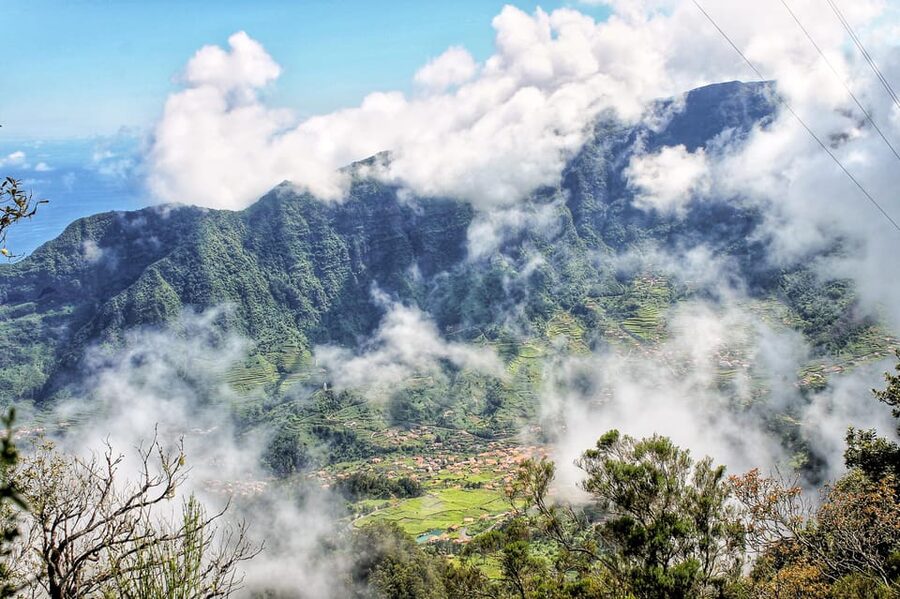 Funchal: Enchanted Terraces, Porto do Moniz & Fanal 4WD Tour - Porto Moniz meals and optional lunch: how to plan your day around food