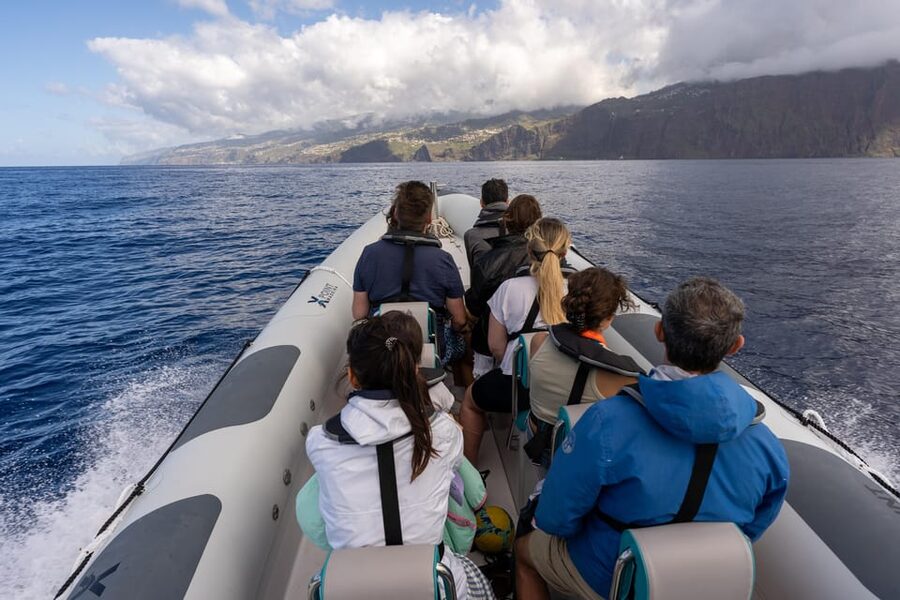 Funchal: Guarantee Wild Dolphin&Whale Watching by RIB - The swim-with-dolphins add-on: when you can enter the water and what to expect