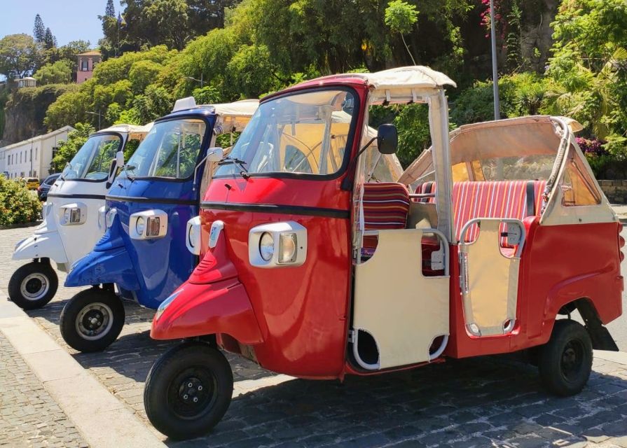 Funchal: Guided City Tuk-Tuk Tour - Getting picked up in Funchal, then ending where you want