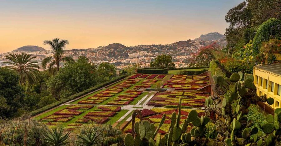 Funchal: Guided Old Town Tuk Tuk Tour and Botanical Gardens - Key highlights worth putting on your radar