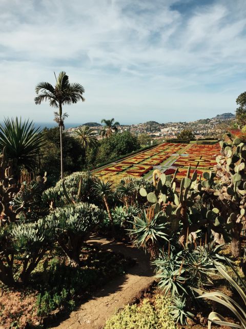 Funchal: Guided Old Town Tuk Tuk Tour and Botanical Gardens - A Tuk Tuk Shortcut Through Funchal’s Narrow Old Town