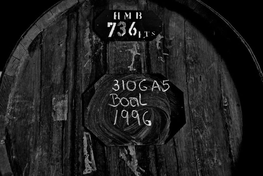 Funchal: H.M. Borges Winery Guided Tour with Wine Tasting - The Tasting Room, Max Römer Art and Included Snacks