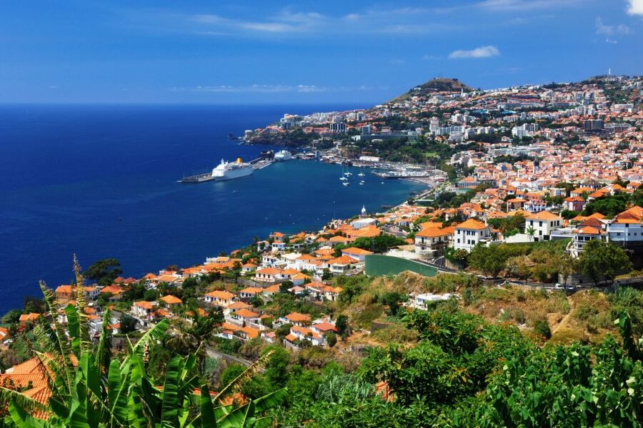 Funchal: Hop-On Hop-Off Bus Tour - Entering Funchal by Bus: Why the Yellow Line Makes Sense