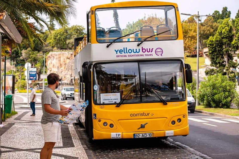 Funchal:Hop-on Hop-off Bus & Whale & Dolphin boat Excursion - Riding the 48-hour hop-on hop-off bus through Funchal and Câmara de Lobos
