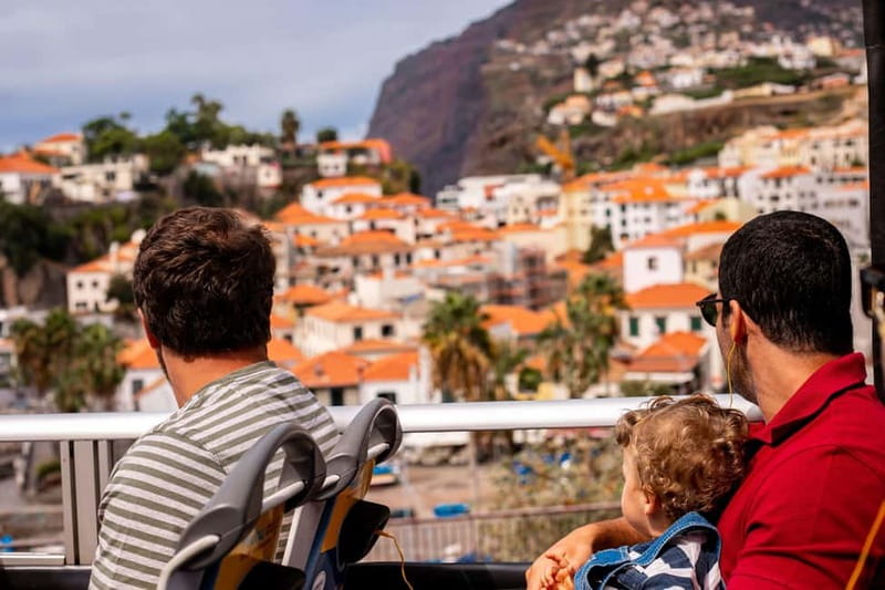 Funchal:Hop-on Hop-off Bus & Whale & Dolphin boat Excursion - Old Blandys Madeira wine tasting, free entry value you can actually taste