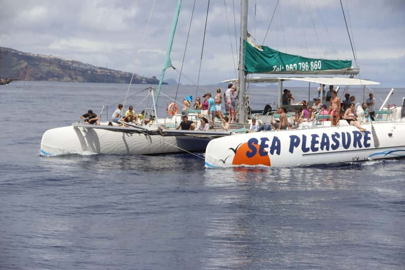 Funchal:Hop-on Hop-off Bus & Whale & Dolphin boat Excursion - Fajã do Cabo Girão, the swim and snorkeling break that makes this tour feel different